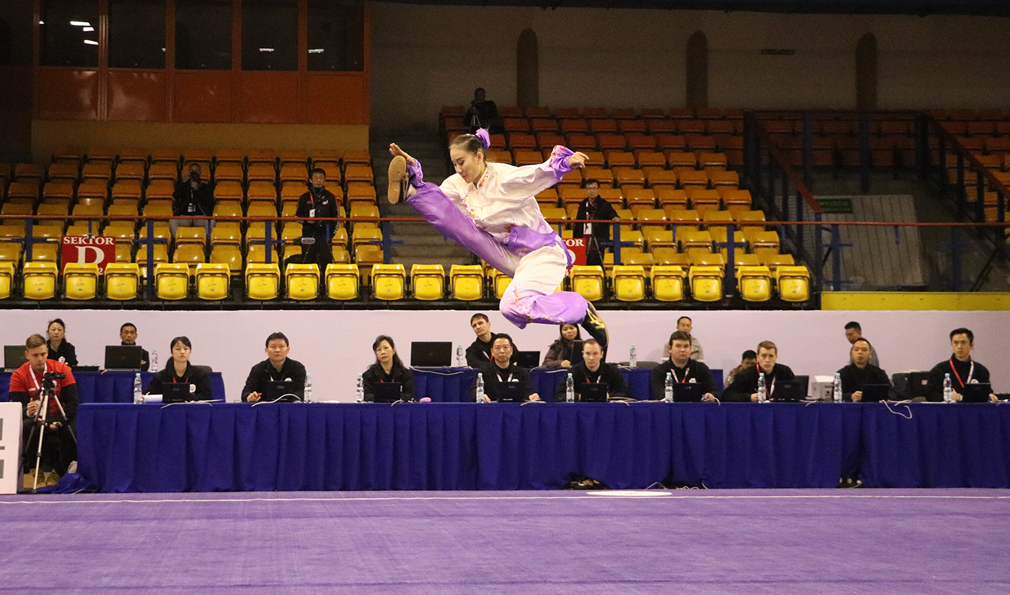 2016 2nd World Taijiquan Championship